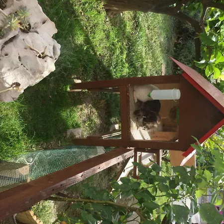 Apartmani Zorica