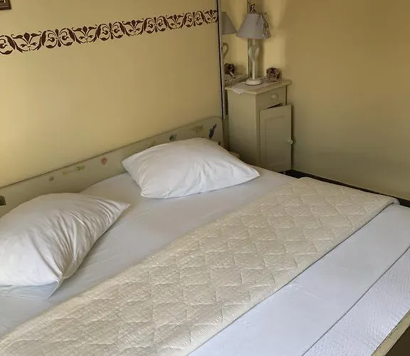 Zorica 3*