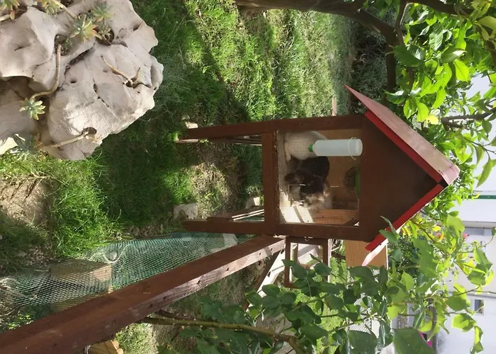 Apartmani Zorica